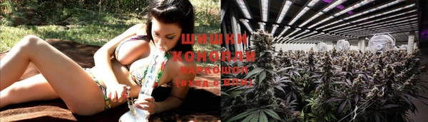 apvp Вязники
