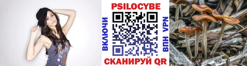 Купить закладки  Кудымкар  Псилоцибиновые грибы Psilocybe 